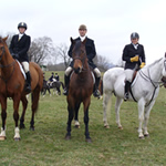 Foxhunting